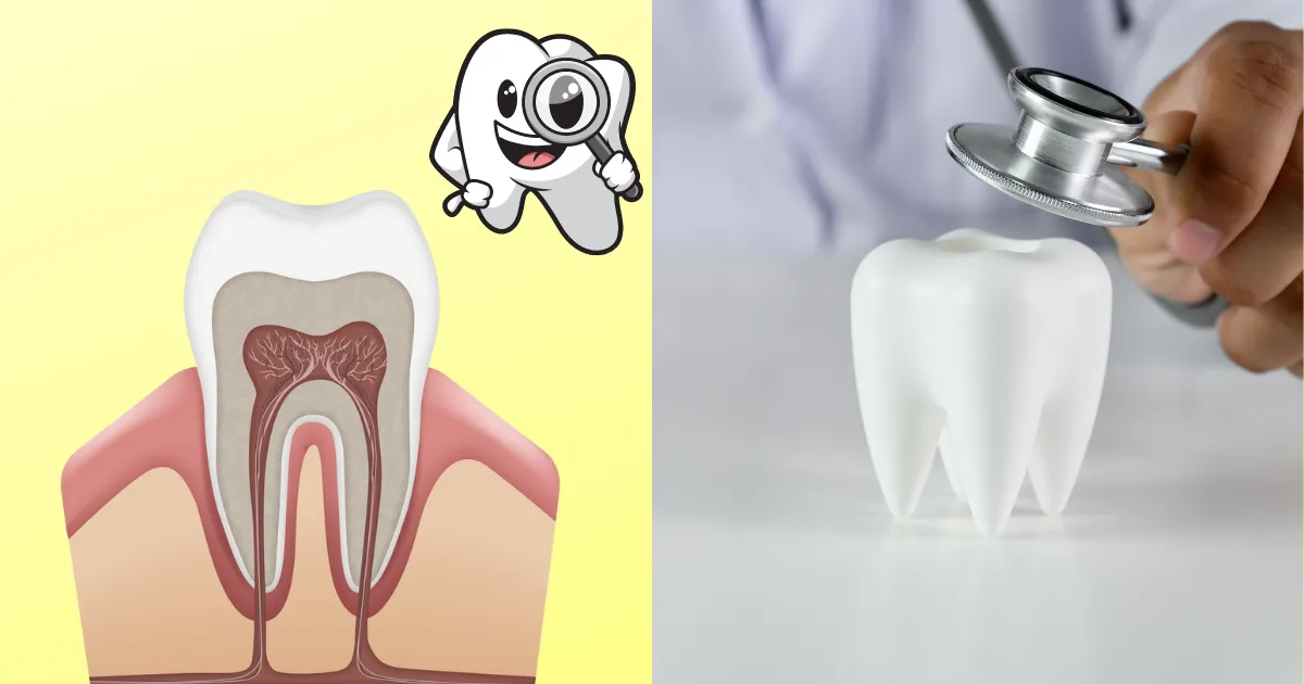 How do you know if a cavity has reached the pulp